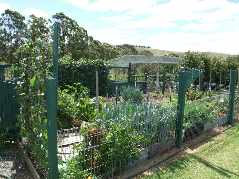 868 Candelo Wolumla Road, Wolumla NSW 2550