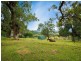 169 Blackrange Road, Bega NSW 2550