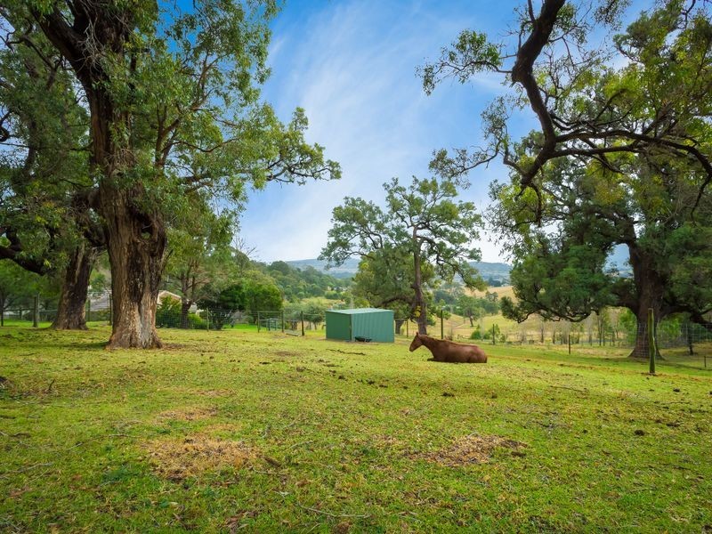 169 Blackrange Road, Bega NSW 2550