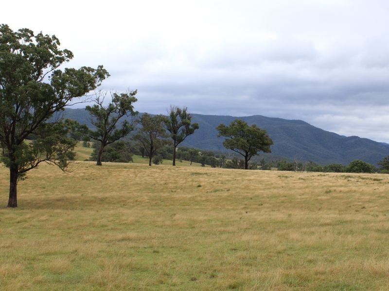 1176 Yowrie Road, Yowrie NSW 2550