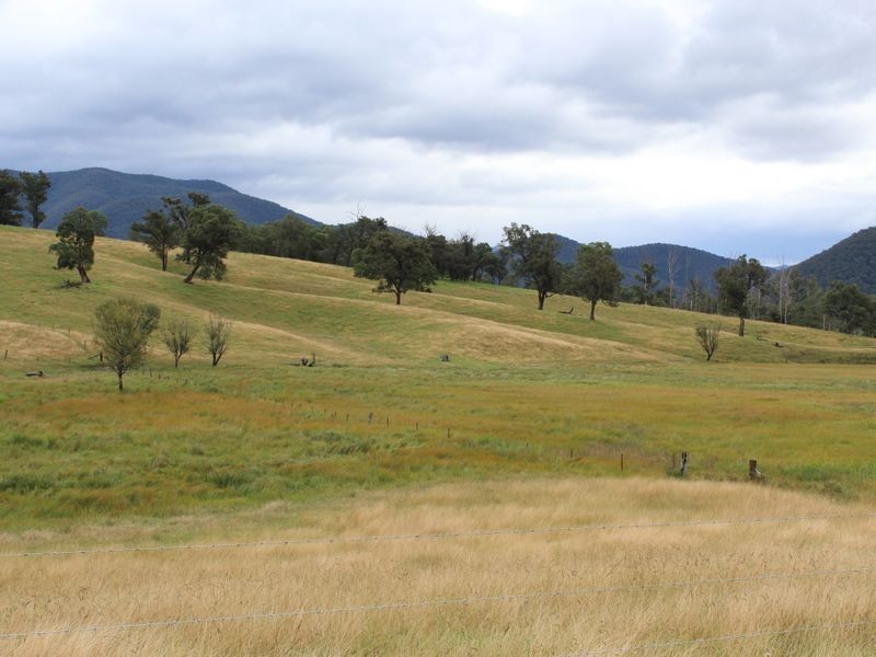 1176 Yowrie Road, Yowrie NSW 2550