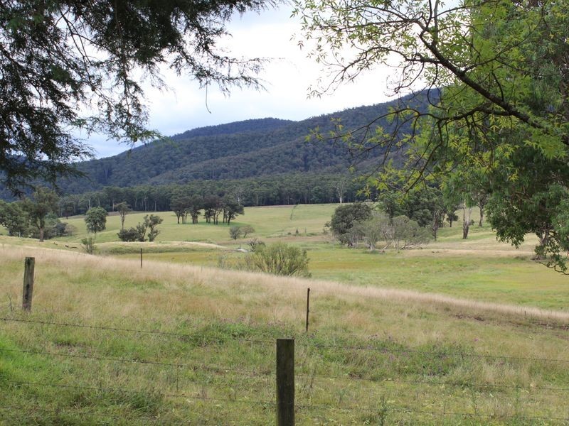 1176 Yowrie Road, Yowrie NSW 2550