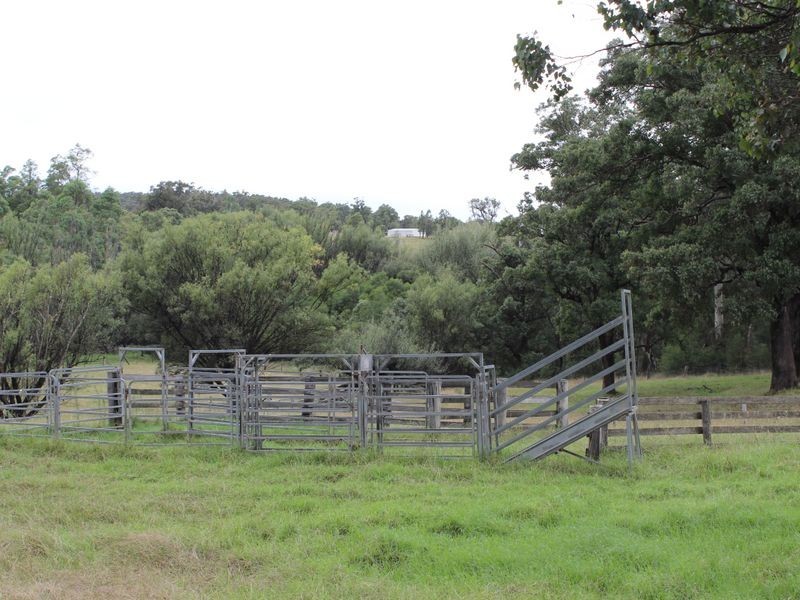 1176 Yowrie Road, Yowrie NSW 2550