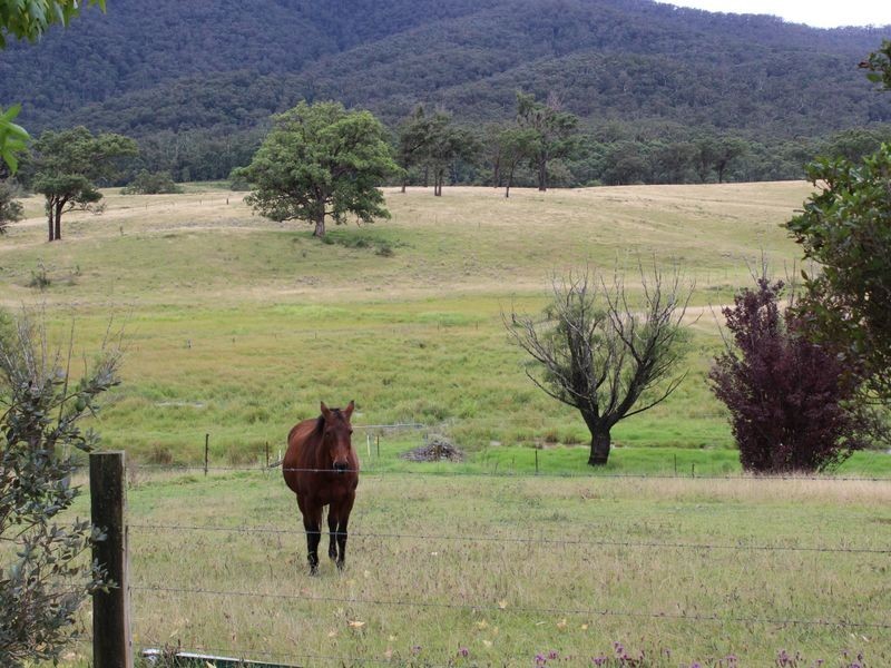 1176 Yowrie Road, Yowrie NSW 2550