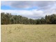 130 Bournda Road, Wallagoot NSW 2550