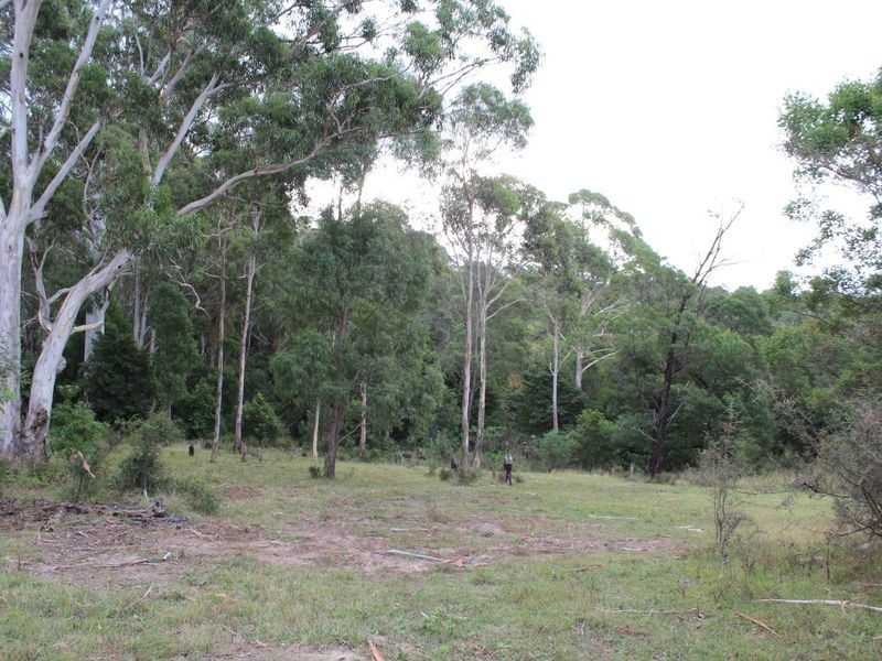 1086 Furners Road, Bemboka NSW 2550