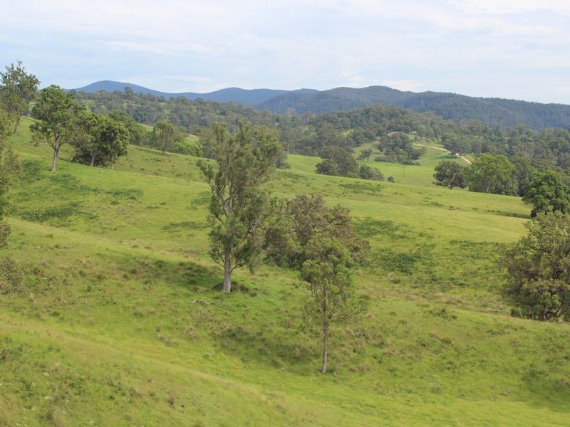 0322 Desert Creek Road, Numbugga NSW 2550