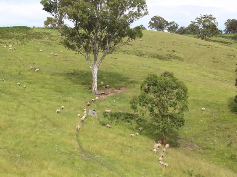 0322 Desert Creek Road, Numbugga NSW 2550