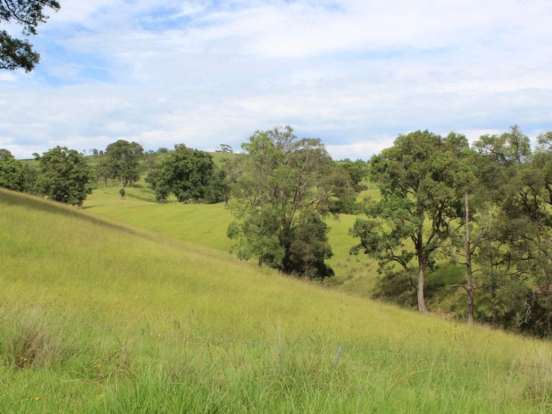 0322 Desert Creek Road, Numbugga NSW 2550