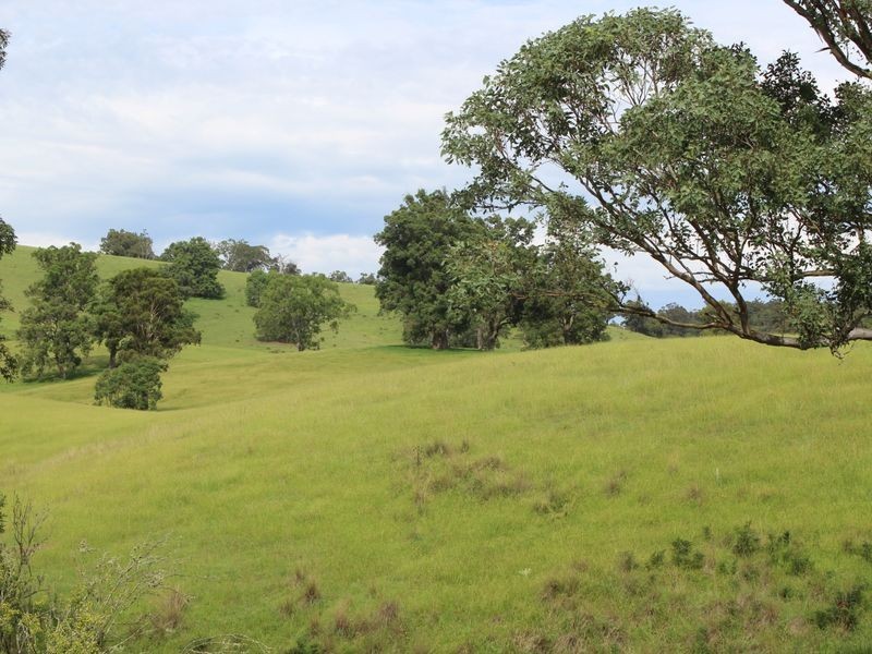 0322 Desert Creek Road, Numbugga NSW 2550