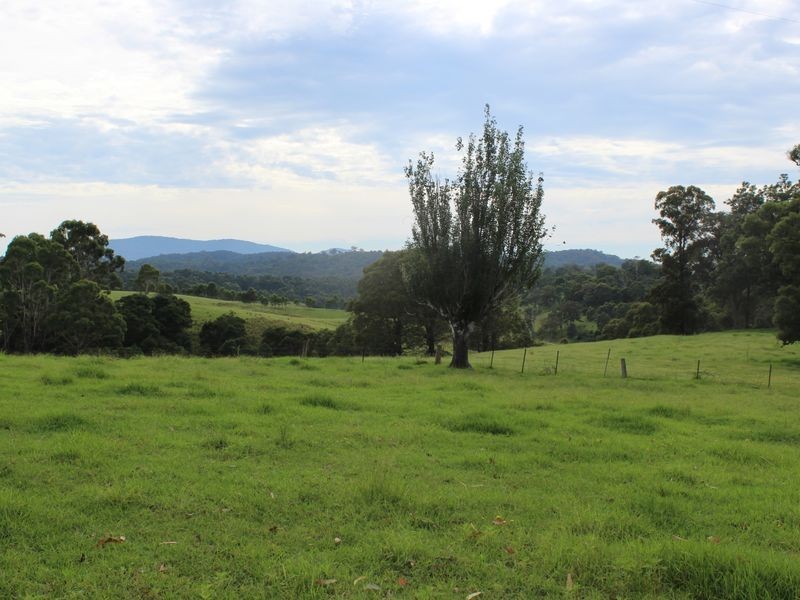 322 Desert Creek Road, Numbugga NSW 2550