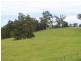 322 Desert Creek Road, Numbugga NSW 2550