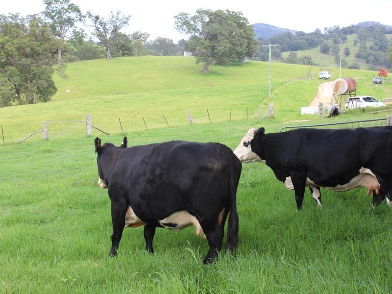 322 Desert Creek Road, Numbugga NSW 2550