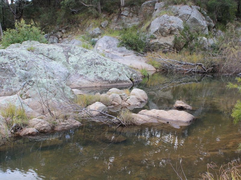 58 Desert Creek Road, Numbugga NSW 2550