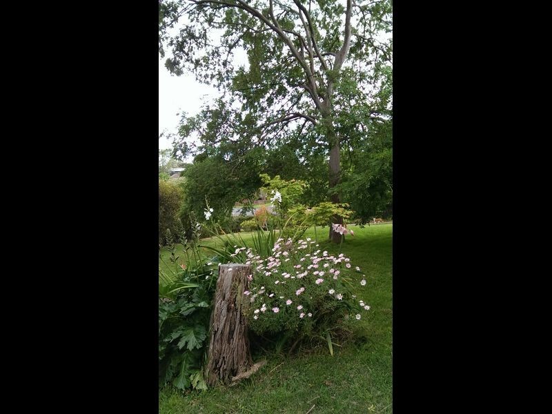 18 High Street, Bega NSW 2550