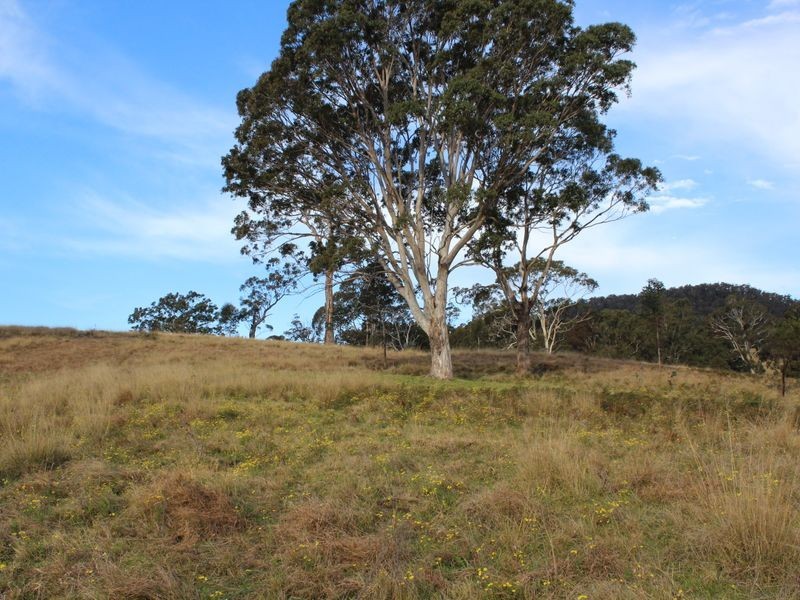 Lot 2 Kallata Lane, Wolumla NSW 2550