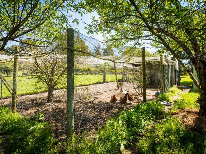 11 Kerrisons Lane, Bega NSW 2550