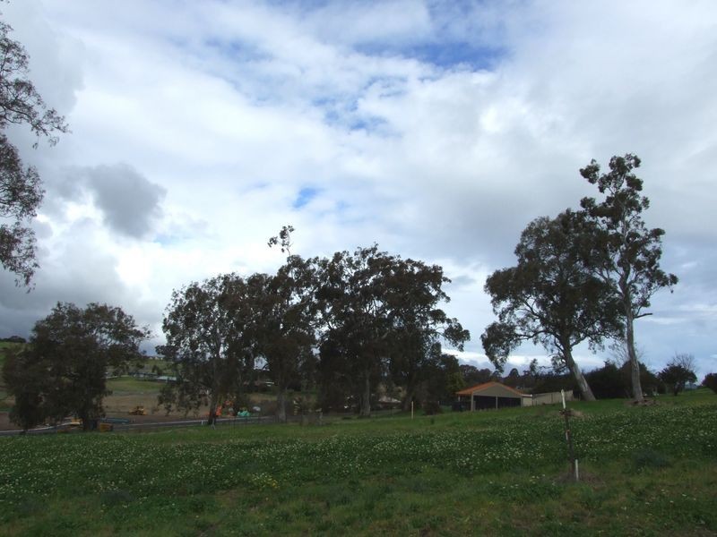 Lot 24 Millbank Place, Bega NSW 2550