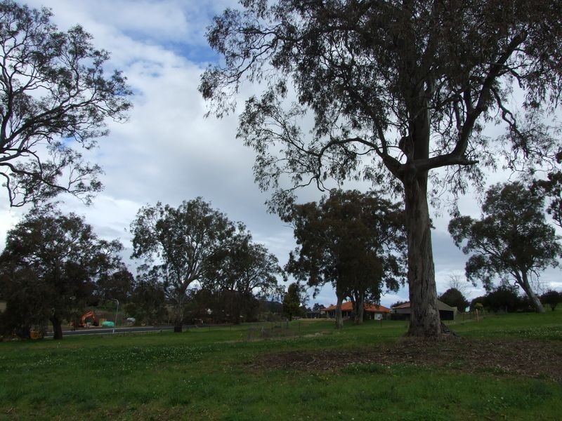 Lot 25 Millbank Place, Bega NSW 2550