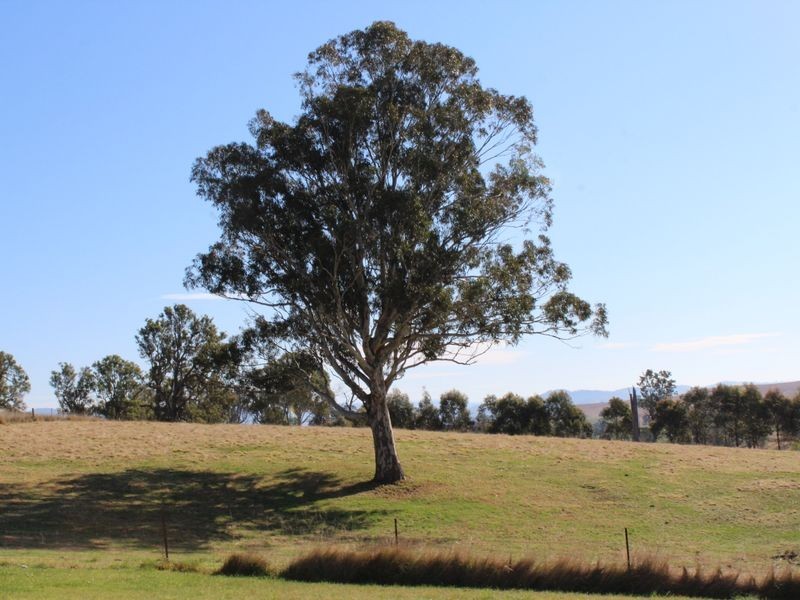 11 Ramseys Road, Candelo NSW 2550