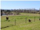 16 Springvale Close, Bega NSW 2550