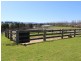 16 Springvale Close, Bega NSW 2550