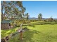 1188 Furners Road, Bemboka NSW 2550