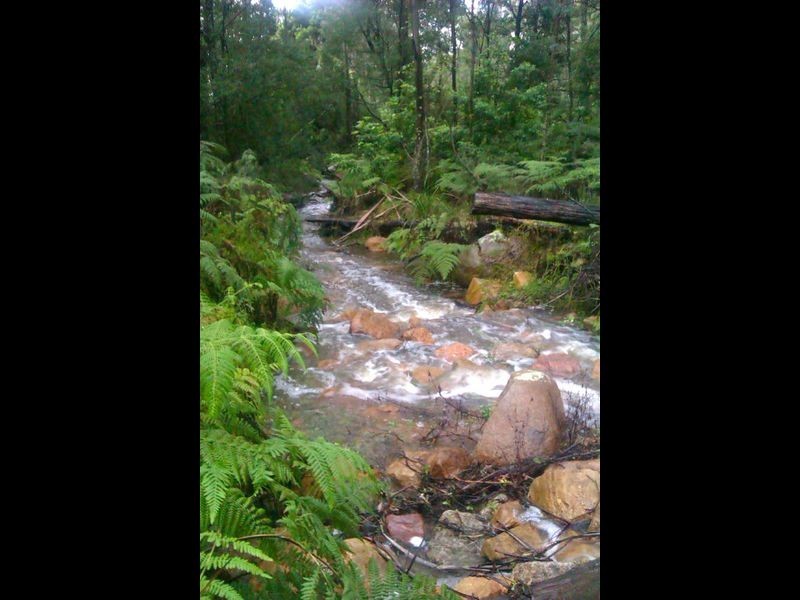 1188 Furners Road, Bemboka NSW 2550