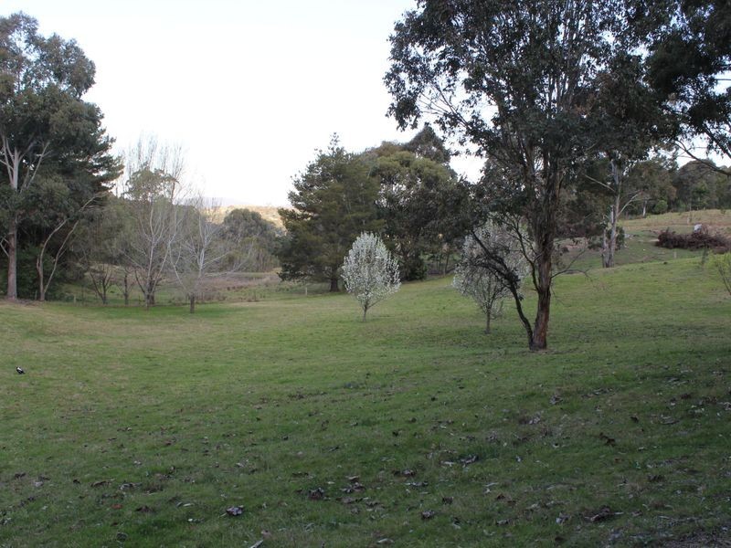 125 Kerrisons Lane, Bega NSW 2550