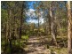 56 Tin Mine Road, Mount Darragh NSW 2632