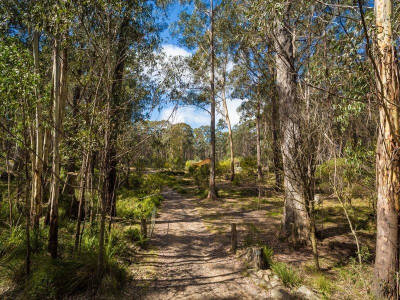 56 Tin Mine Road, Mount Darragh NSW 2632