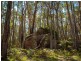 56 Tin Mine Road, Mount Darragh NSW 2632