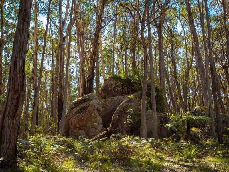 56 Tin Mine Road, Mount Darragh NSW 2632