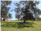 Lot 30 Millbank Place, Bega NSW 2550