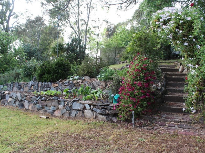 260 Daisy Hill Road, Bega NSW 2550