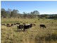 Lot 1880 Slaters Lane, Candelo NSW 2550