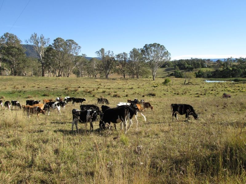 Lot 1880 Slaters Lane, Candelo NSW 2550