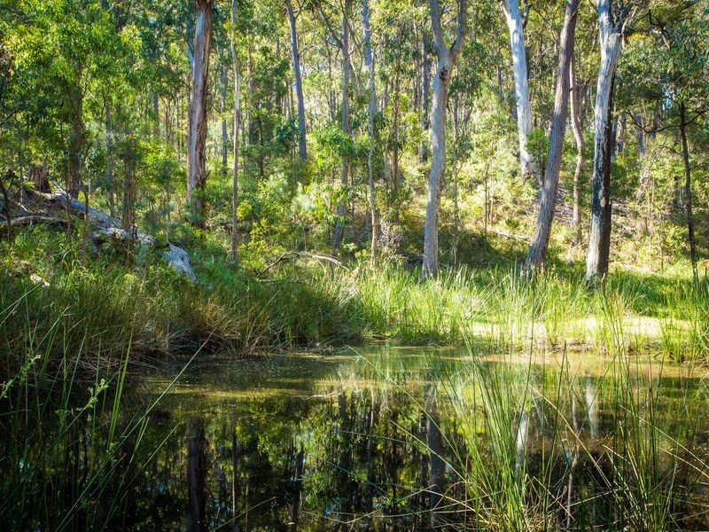 10 Ferntree Lane, Wallagoot NSW 2550