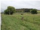 1 Burnima Street, Bibbenluke NSW 2632