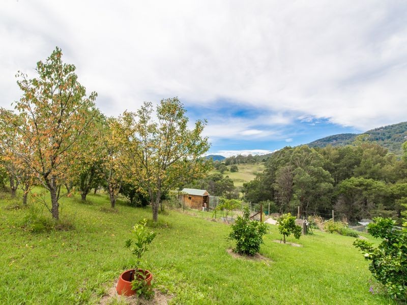 12623 Princes Highway, Brogo NSW 2550