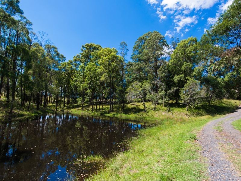 12623 Princes Highway, Brogo NSW 2550