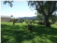 102 Corridgeree Road, Tarraganda NSW 2550