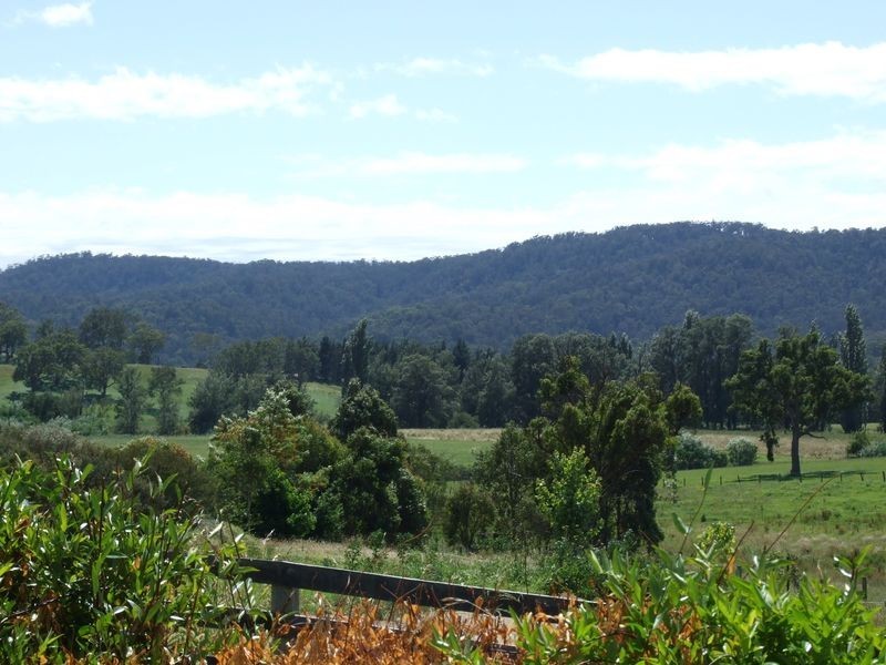 102 Corridgeree Road, Tarraganda NSW 2550