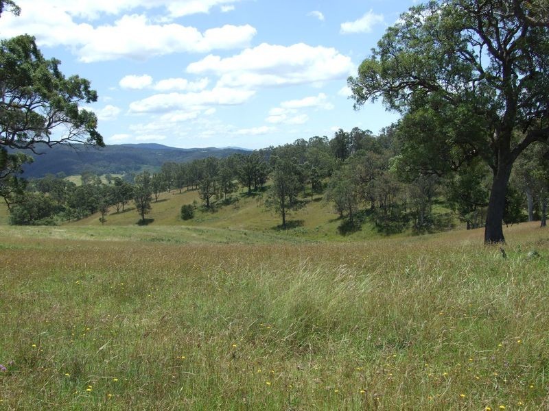 1310 Snowy Mountains Highway, Numbugga NSW 2550