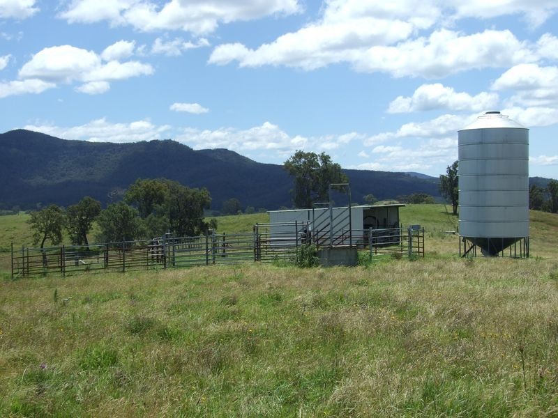 1310 Snowy Mountains Highway, Numbugga NSW 2550