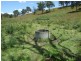 1310 Snowy Mountains Highway, Numbugga NSW 2550