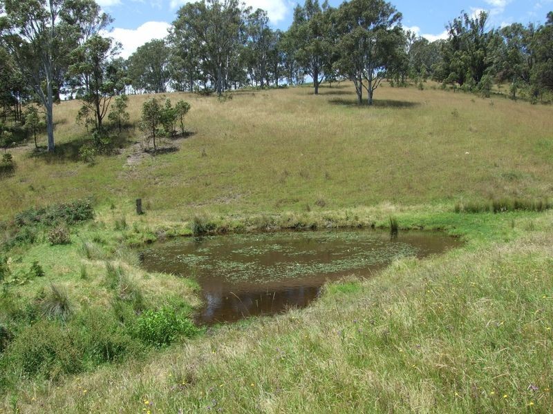 1310 Snowy Mountains Highway, Numbugga NSW 2550