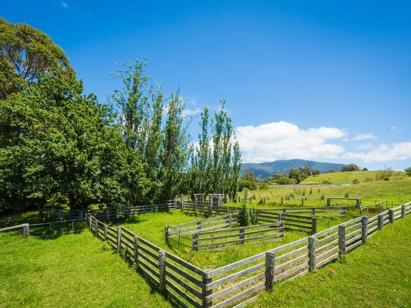 8193 Princes Highway, Central Tilba NSW 2546