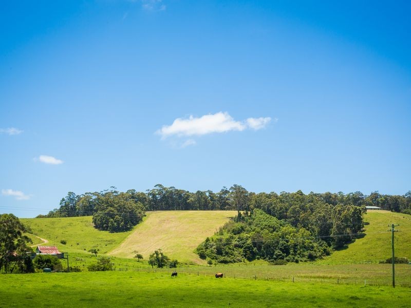 8193 Princes Highway, Central Tilba NSW 2546