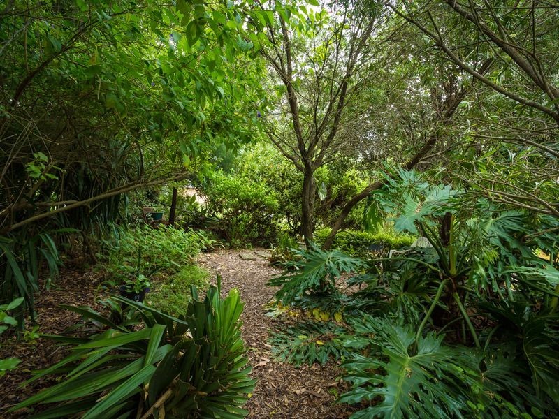 20-24 Scott Street, Wolumla NSW 2550